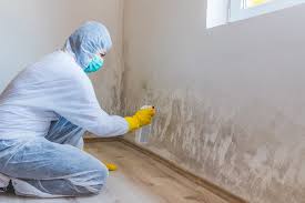 Best Forensic Mold Investigation in Sheldon, TX